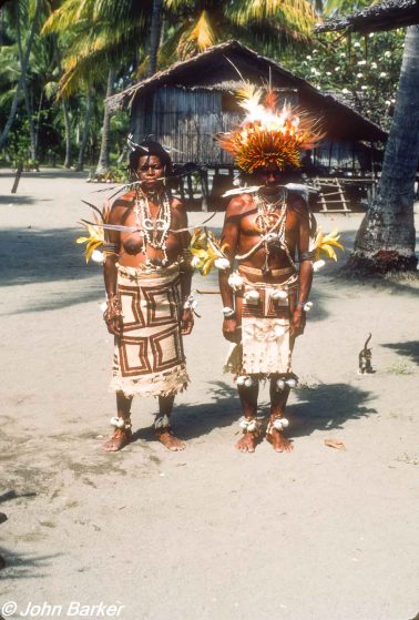 Maisin research 1986